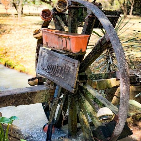Chawasi Cabanas Campo Quijano Dış mekan fotoğraf